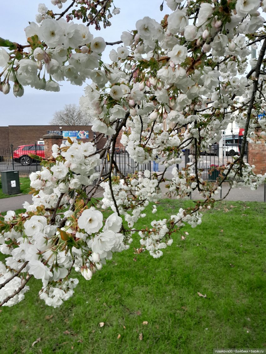 Фигурки из "Кошмар перед Рождеством" (The Nightmare Before Christmas) | Бэйбики Фигурки из "Кошмар перед Рождеством" (The Nightmare Before Christmas) (фото 3)