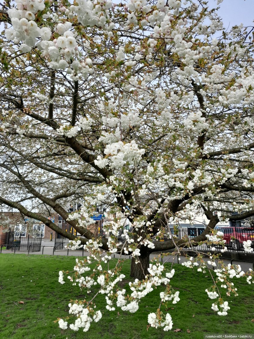 Фигурки из "Кошмар перед Рождеством" (The Nightmare Before Christmas) | Бэйбики Фигурки из "Кошмар перед Рождеством" (The Nightmare Before Christmas) (фото 2)