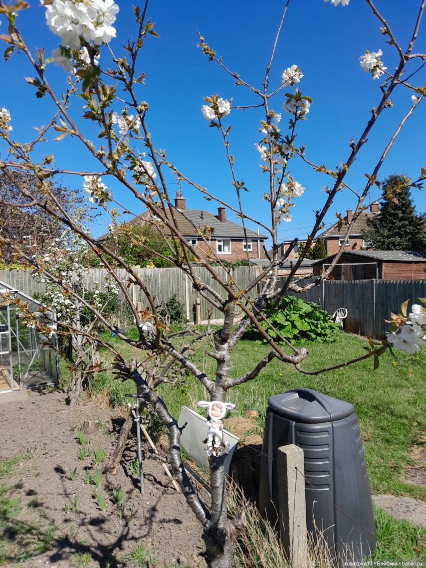 Малышка Мия приехала — Куклы Nines d'Onil (Нинес): Миа (Mia) (фото 10)