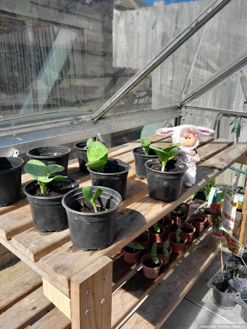 Малышка Мия приехала — Куклы Nines d'Onil (Нинес): Миа (Mia)