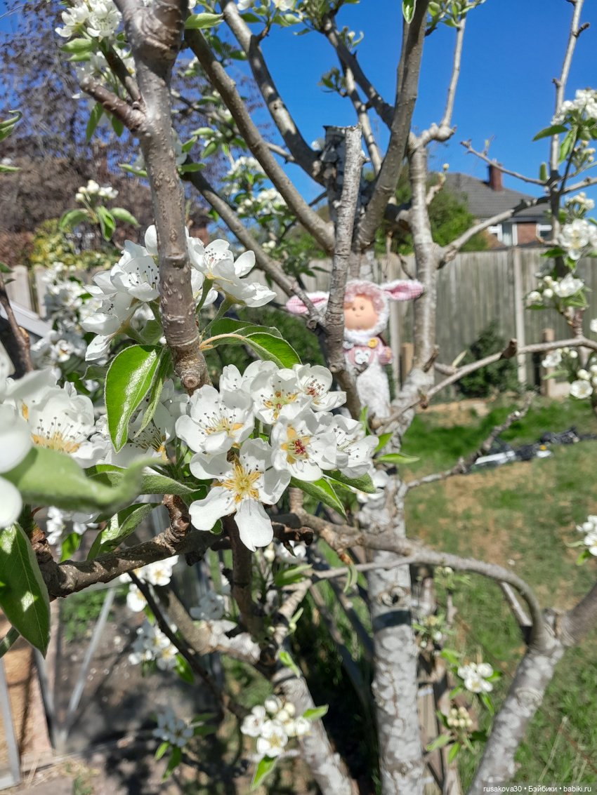 Малышка Мия приехала — Куклы Nines d'Onil (Нинес): Миа (Mia)