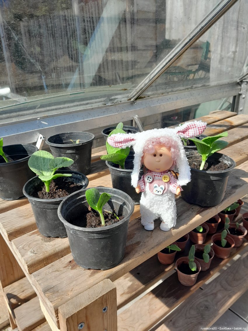 Малышка Мия приехала — Куклы Nines d'Onil (Нинес): Миа (Mia)