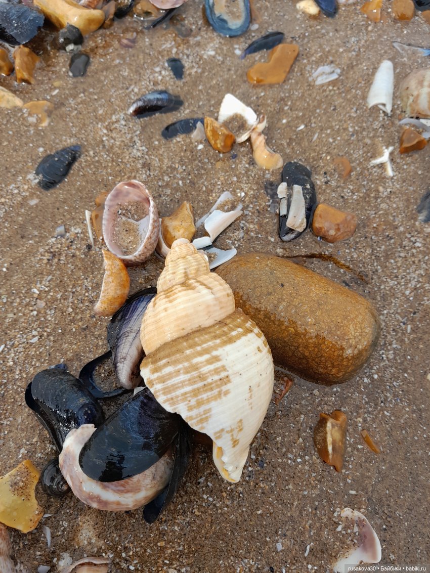 А мы едем к морю | Бэйбики А мы едем к морю — Куклы Nines d'Onil (Нинес): Миа (Mia) (фото 7)