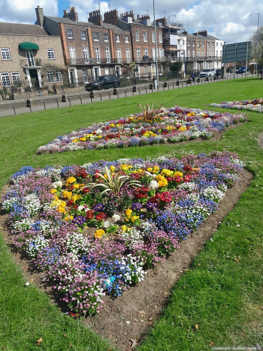 Малышка Мия знакомится с Кингс Лином (фото 2)