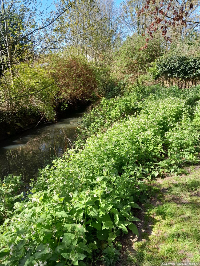 Малышка Мия знакомится с Кингс Лином (фото 5)