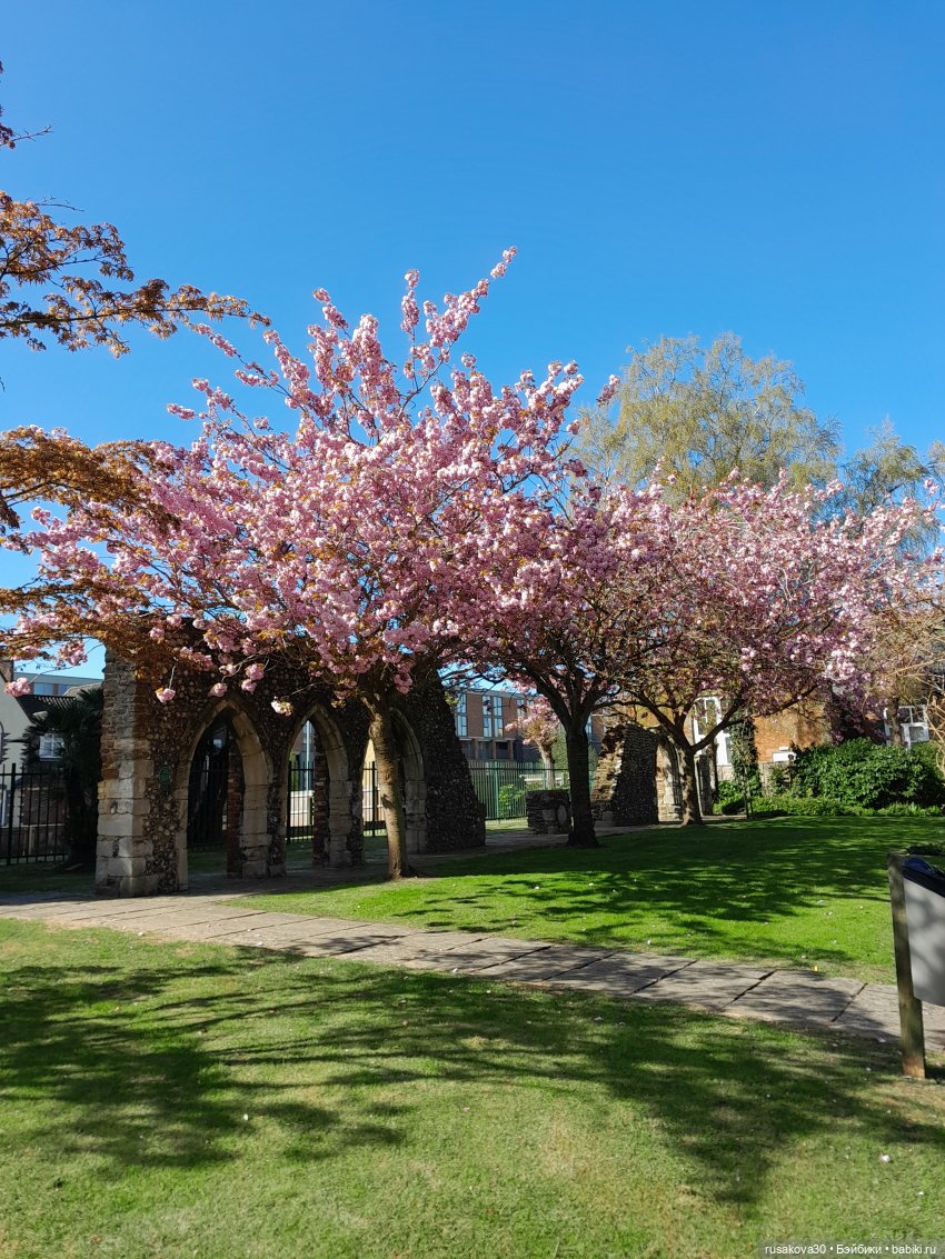 Малышка Мия знакомится с Кингс Лином