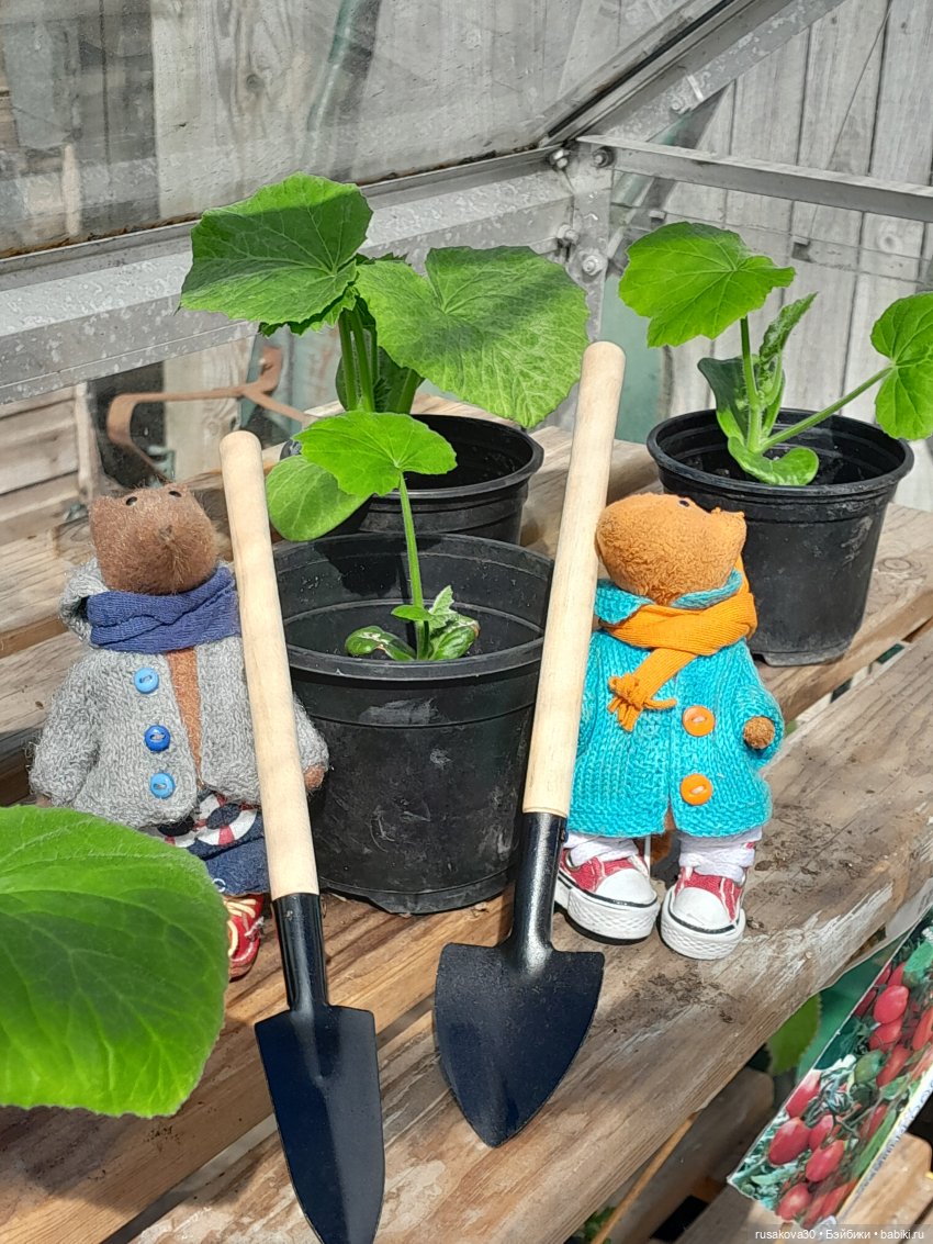 Во саду ли...в огороде — Коллекции игровых кукол (Playline): фото полок