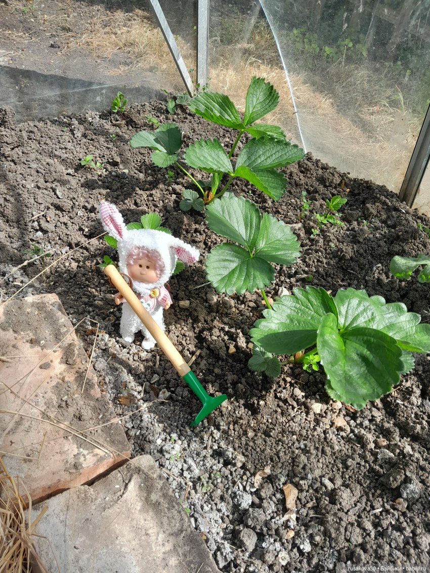 Во саду ли...в огороде — Коллекции игровых кукол (Playline): фото полок