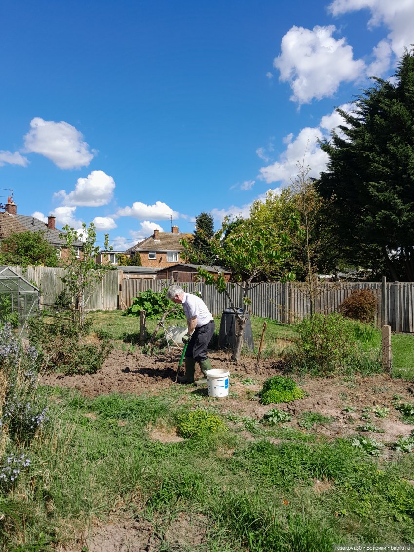 Во саду ли...в огороде — Коллекции игровых кукол (Playline): фото полок (фото 8)