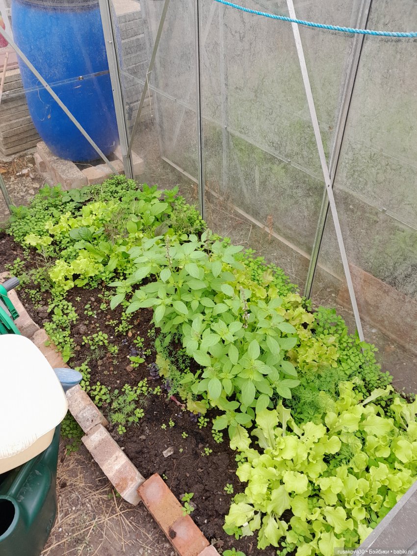 Во саду ли...в огороде — Коллекции игровых кукол (Playline): фото полок (фото 6)