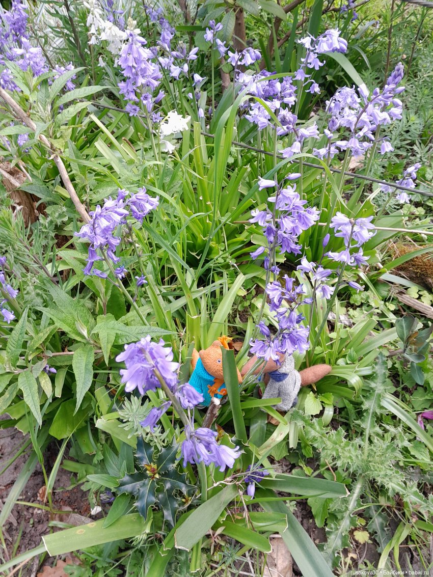 Во саду ли...в огороде — Коллекции игровых кукол (Playline): фото полок