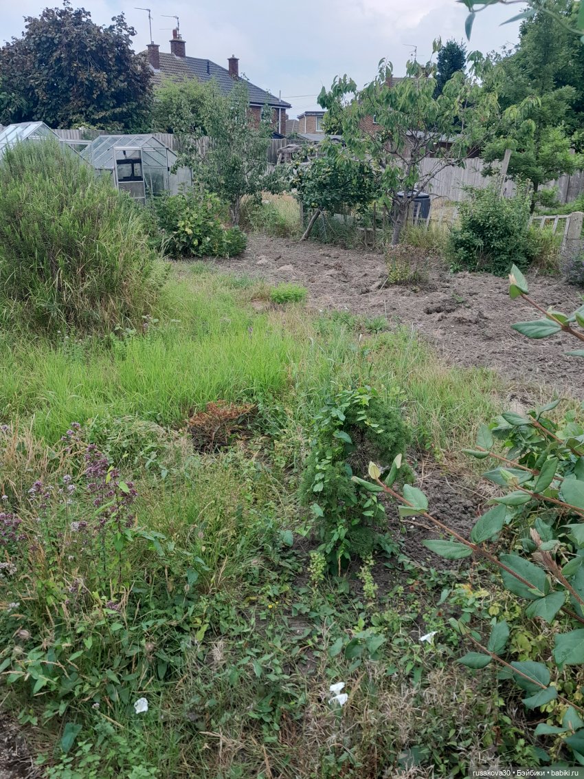 Во саду ли...в огороде — Коллекции игровых кукол (Playline): фото полок (фото 3)