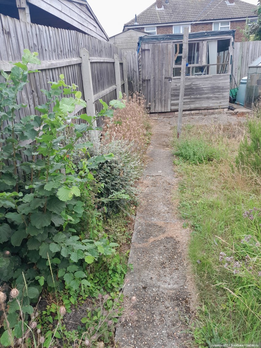 Во саду ли...в огороде — Коллекции игровых кукол (Playline): фото полок (фото 4)