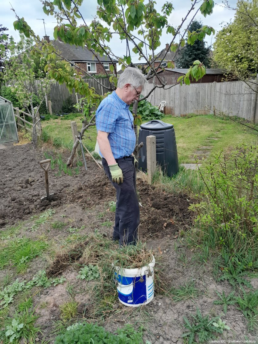 Во саду ли...в огороде — Коллекции игровых кукол (Playline): фото полок (фото 7)