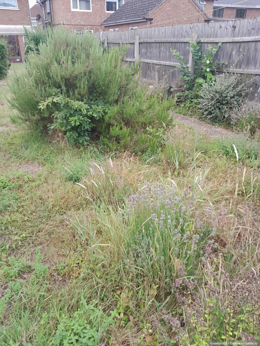 Во саду ли...в огороде — Коллекции игровых кукол (Playline): фото полок (фото 5)