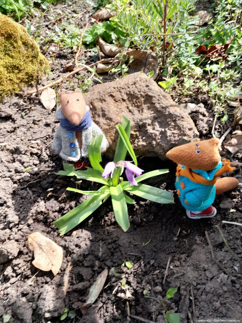 Во саду ли...в огороде — Коллекции игровых кукол (Playline): фото полок