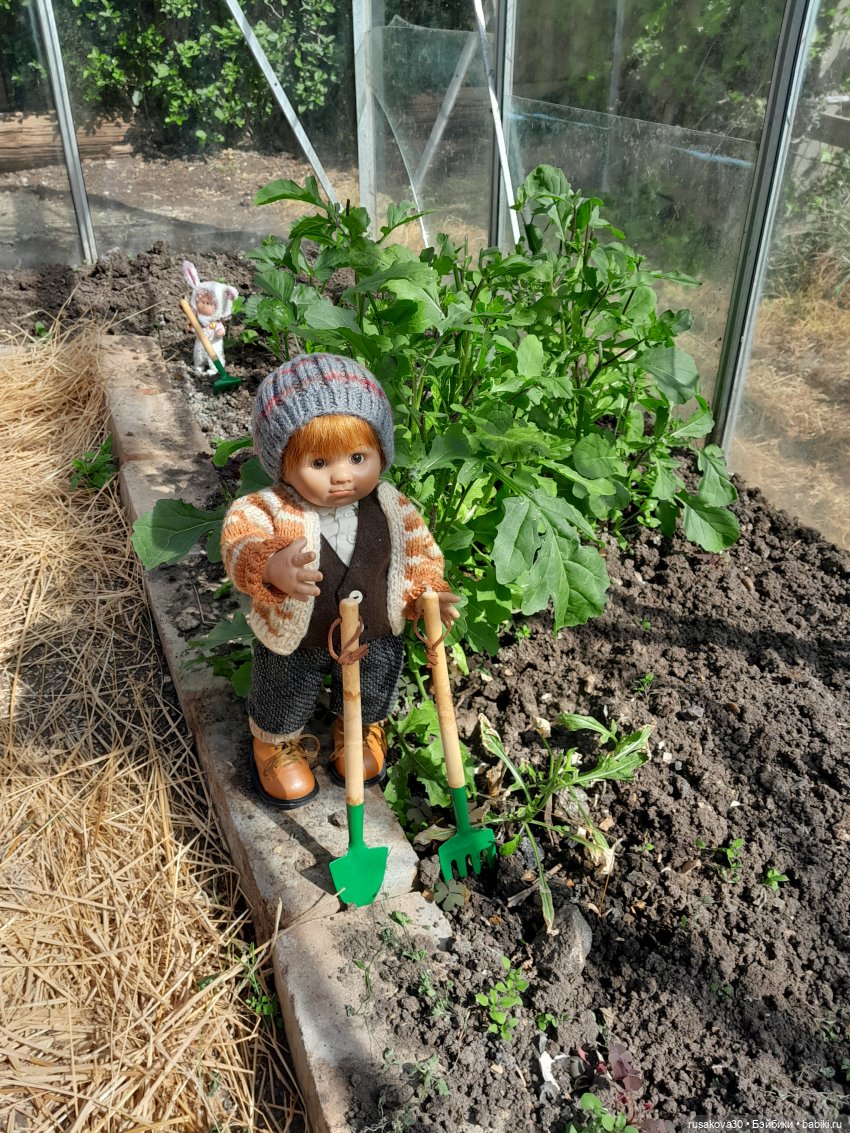Во саду ли...в огороде — Коллекции игровых кукол (Playline): фото полок