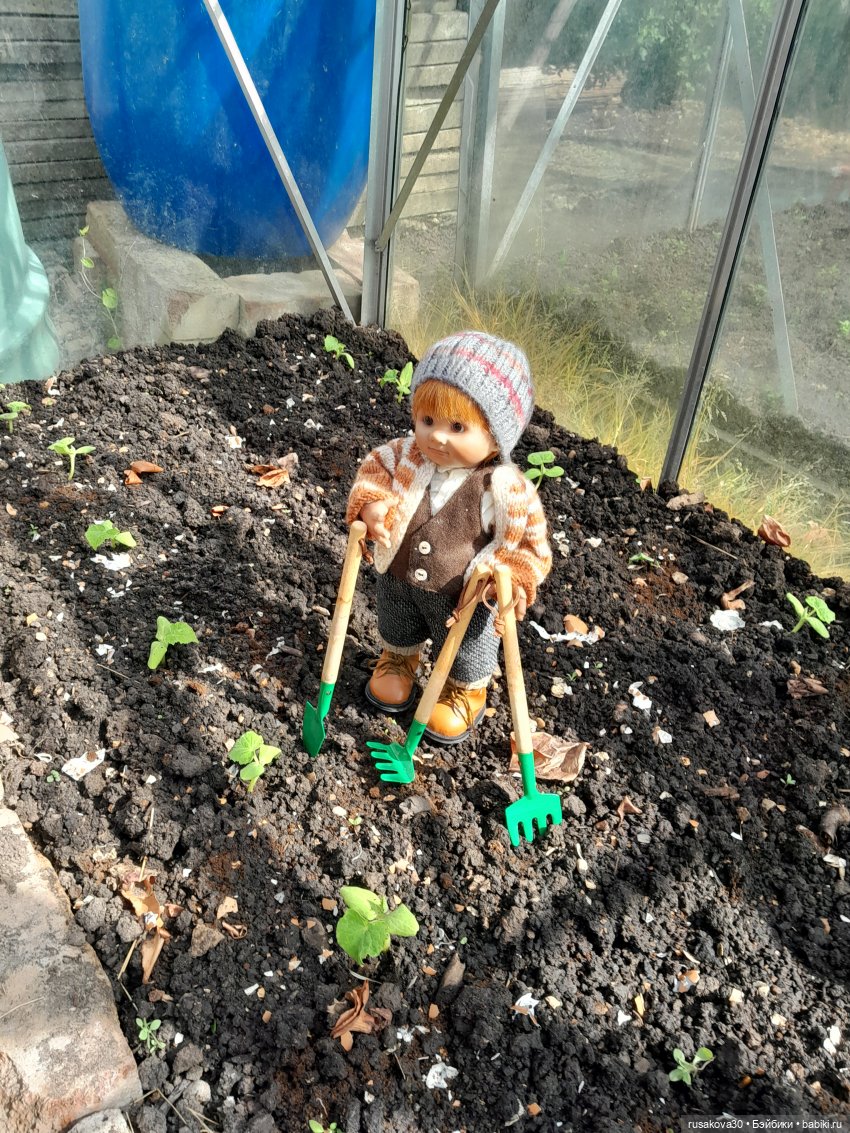 Во саду ли...в огороде — Коллекции игровых кукол (Playline): фото полок