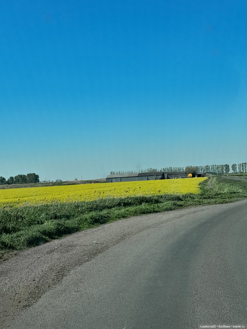 Прогулка с Адель — Куклы Барби (фото 3)