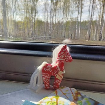 Лошадка по имени Томск .
