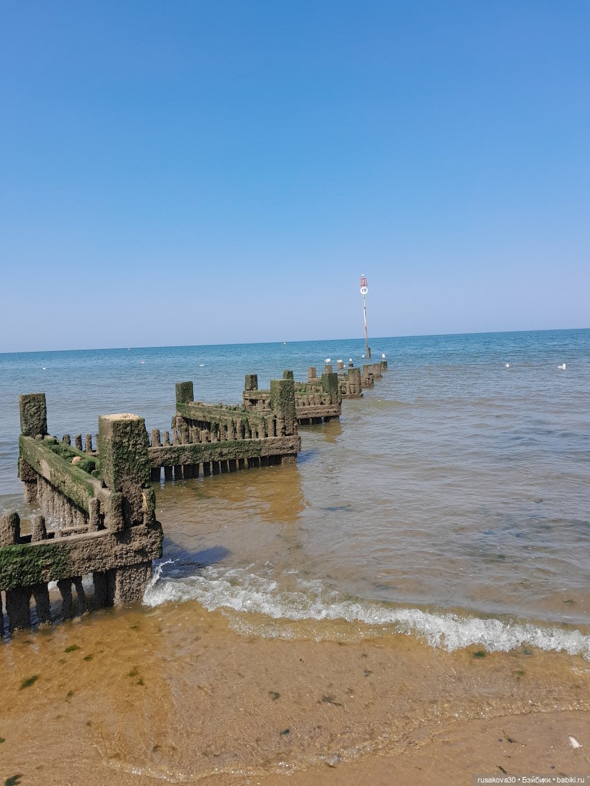 Руби и Енотик у моря — Экшн (фото 8)