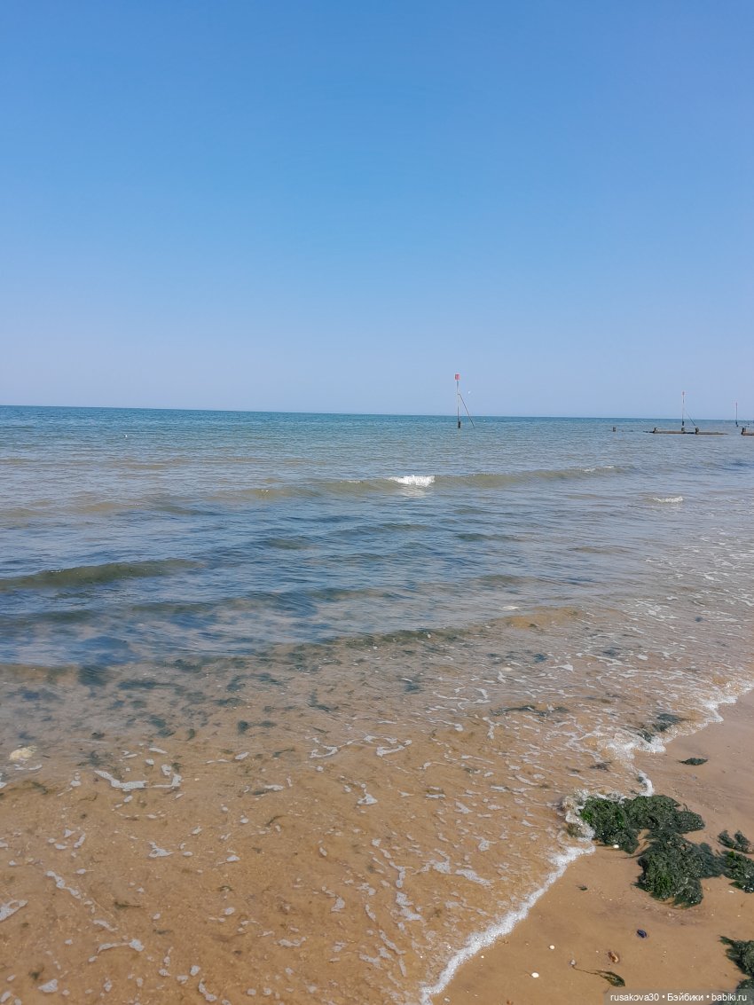 Руби и Енотик у моря — Экшн (фото 10)