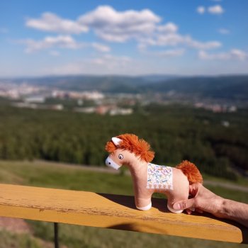 Конь по имени  Ярик .