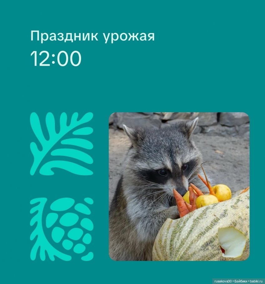 Новосибирский зоопарк — Туризм и путешествия: фотоотчеты из поездок (фото 5)