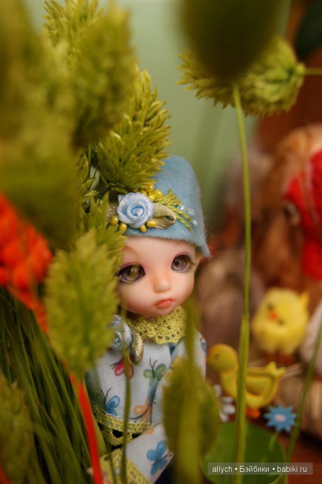 Августин. Puki Fee Zefi, Fairyland