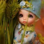 Мой милый Августин. Puki Fee Zefi, Fairyland