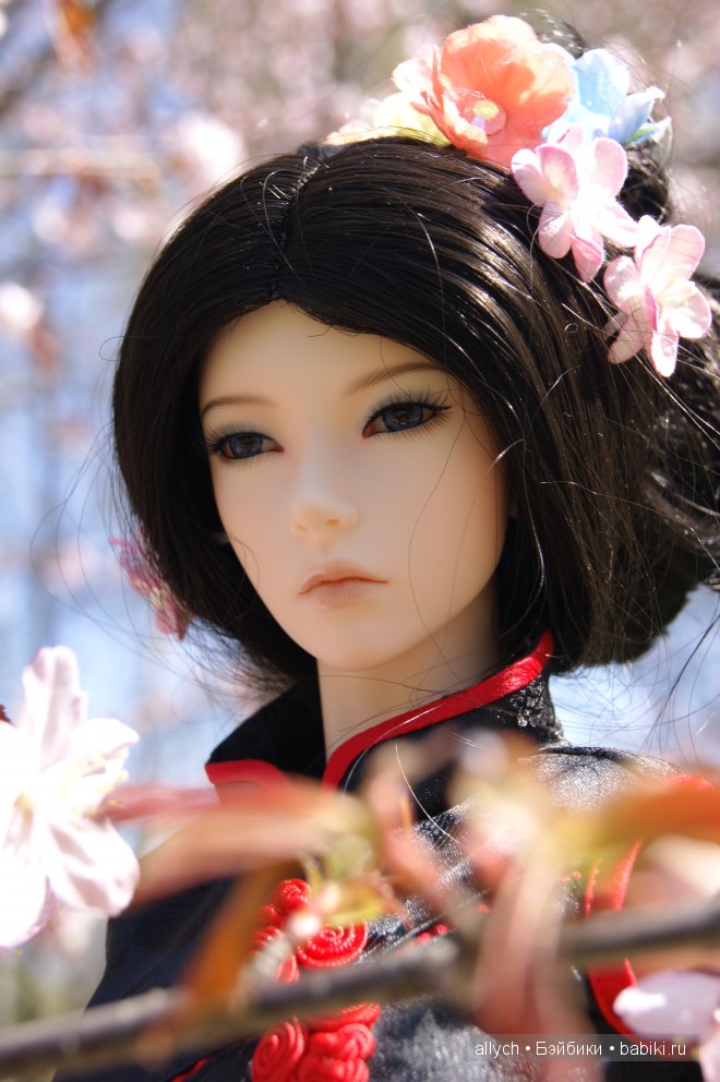 Цветение Сакуры. Iplehouse, БЖД