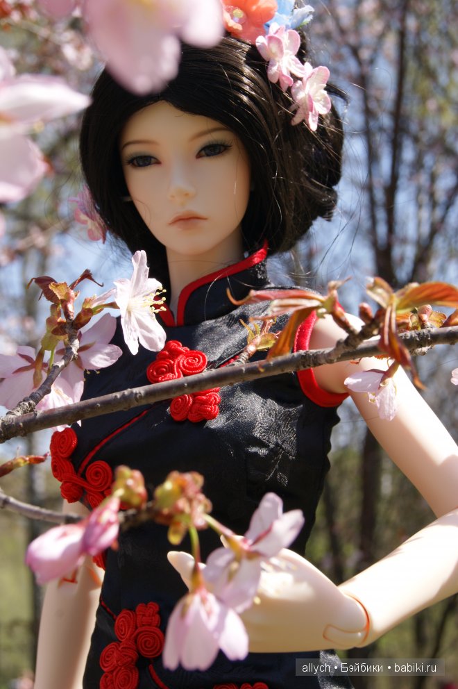 Цветение Сакуры. Iplehouse, БЖД