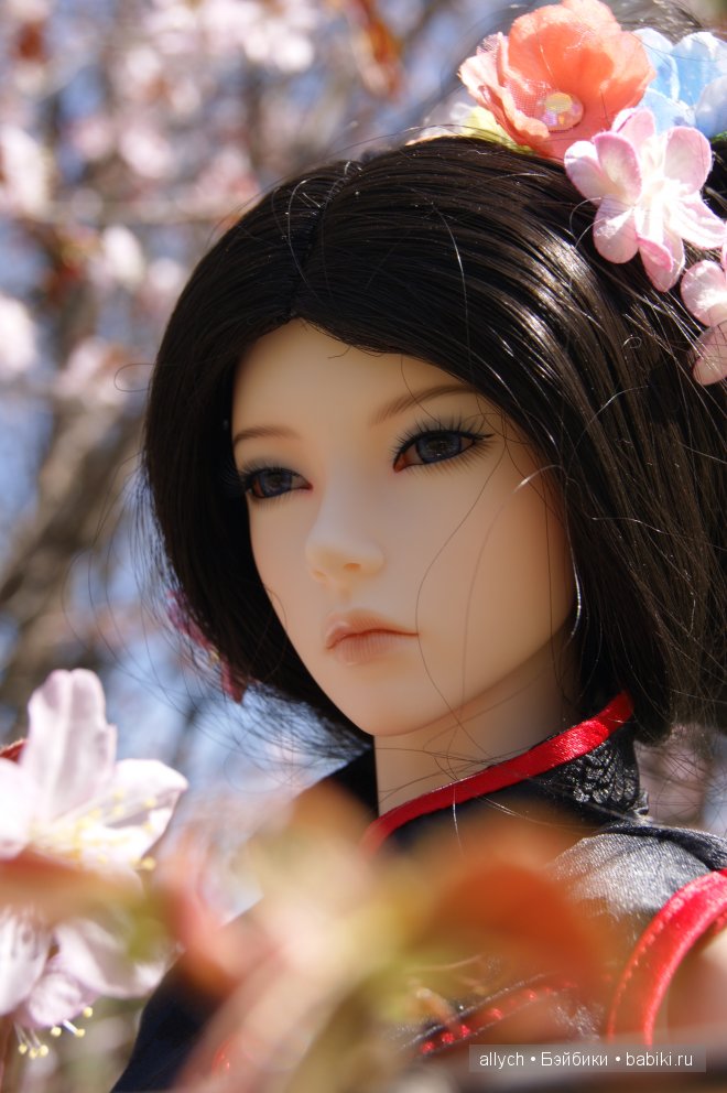 Цветение Сакуры. Iplehouse, БЖД