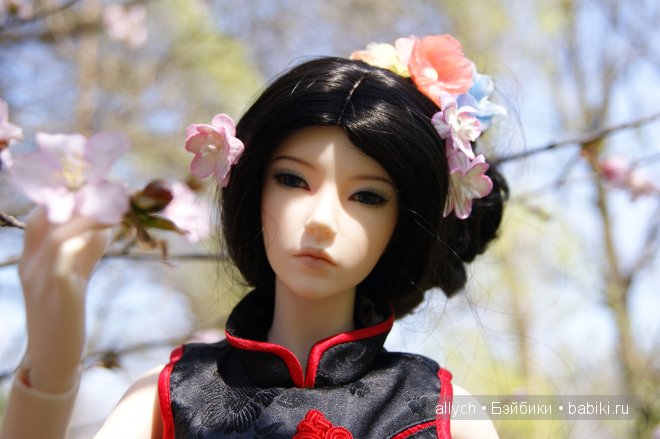 Цветение Сакуры. Iplehouse, БЖД