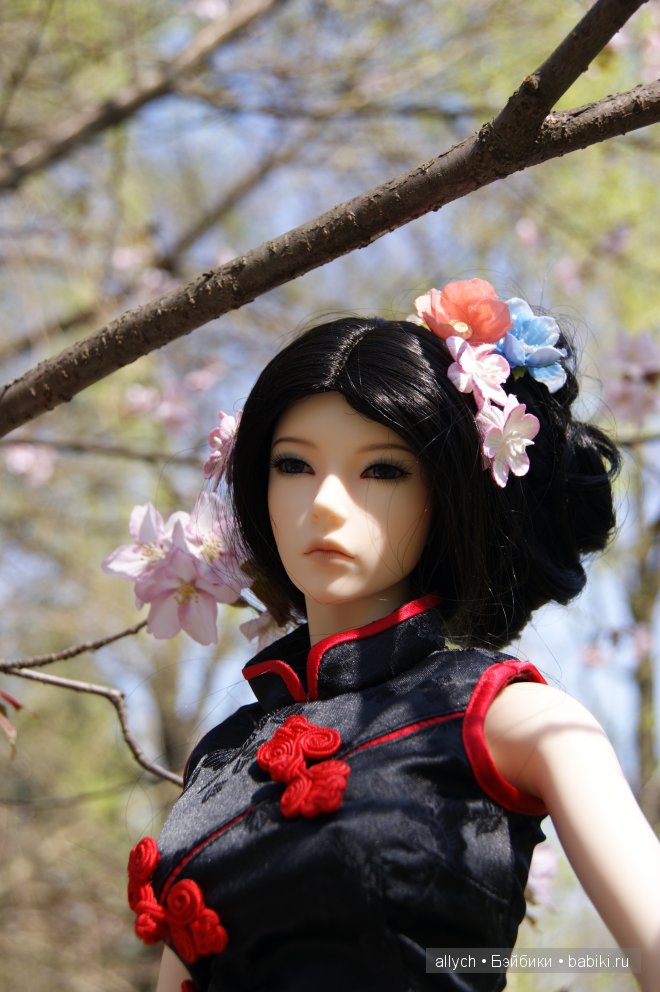 Цветение Сакуры. Iplehouse, БЖД