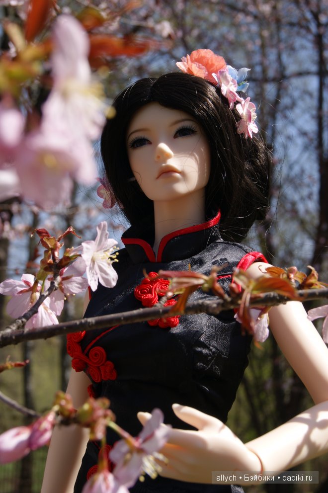 Цветение Сакуры. Iplehouse, БЖД