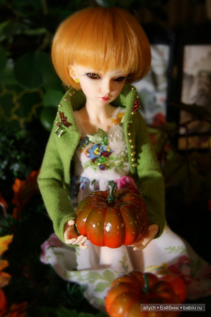 МиниФи Мирвен. Девушка-осень, девушка-мечта | Бэйбики МиниФи Мирвен. Девушка-осень, девушка-мечта (фото 5)