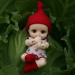 Мой маленький гномик (Nappy choo Soom)