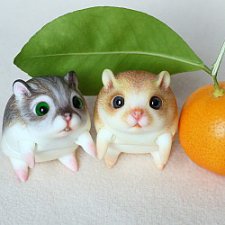 И снова хомки