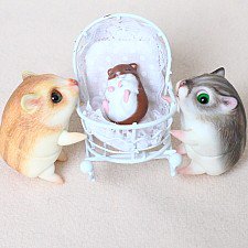 Приключения хомок. Младенец