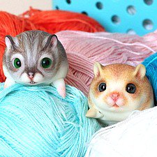 Ох уж эти хомки