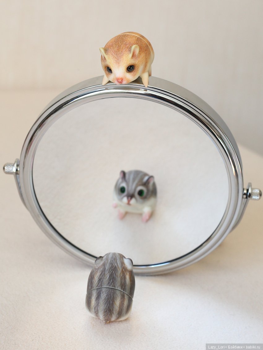 Приключения хомок: мини-триллер