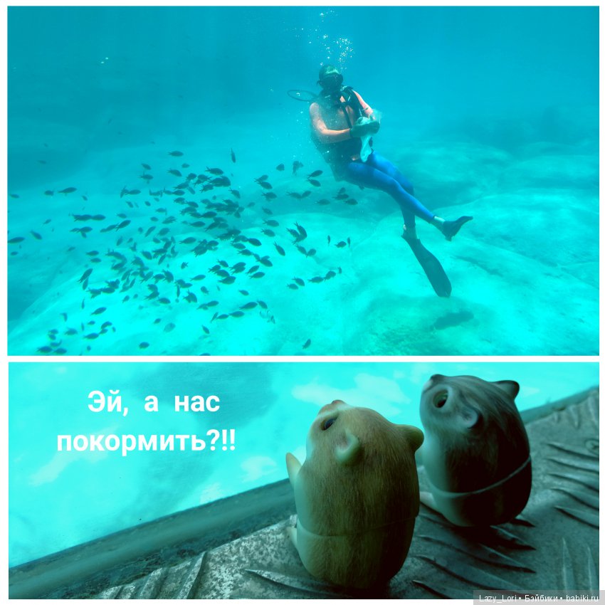 Хомки - путешественники — Фотоистории с куклами BJD (БЖД): сериалы