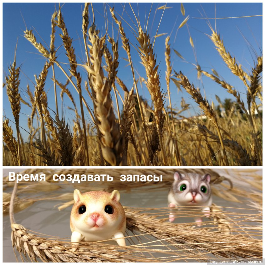 Хомки - путешественники — Фотоистории с куклами BJD (БЖД): сериалы (фото 3)