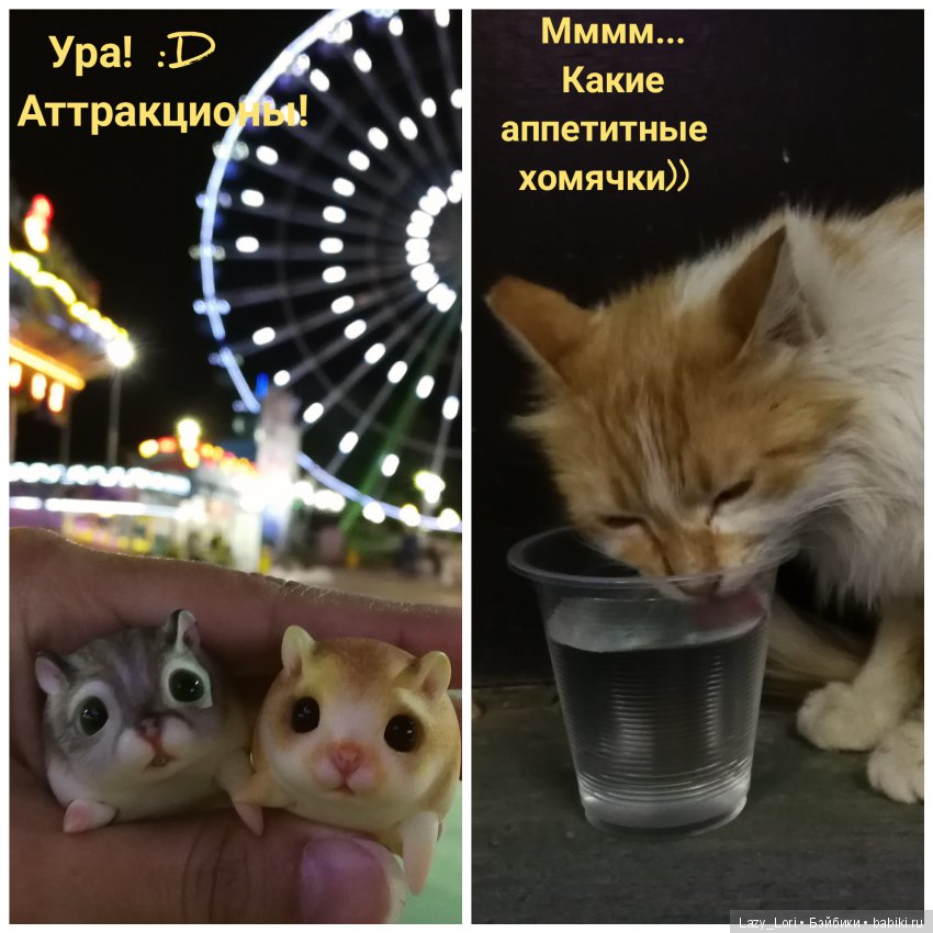 Хомки - путешественники — Фотоистории с куклами BJD (БЖД): сериалы (фото 7)