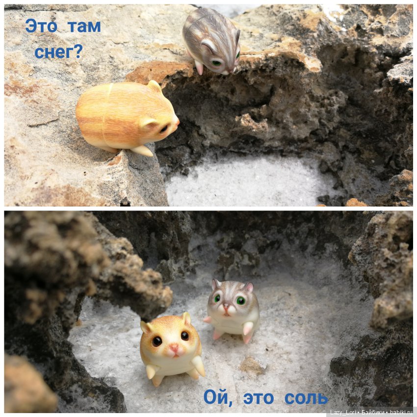 Хомки - путешественники — Фотоистории с куклами BJD (БЖД): сериалы (фото 10)