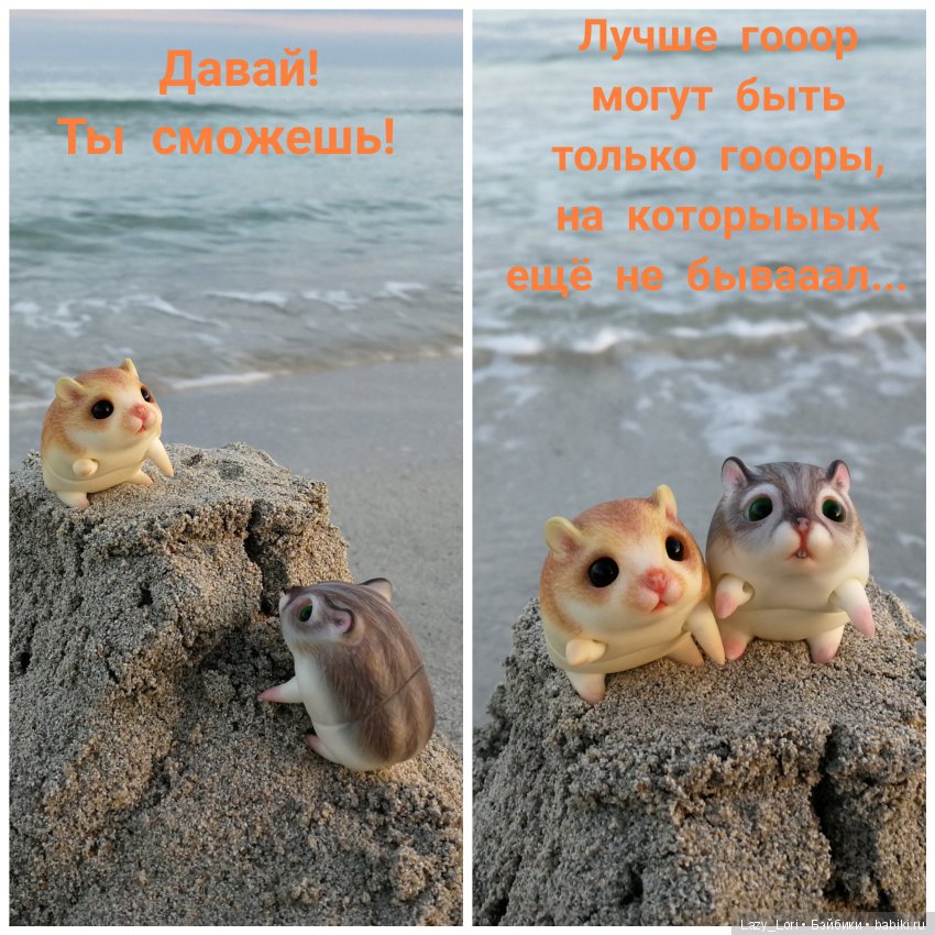 Хомки - путешественники — Фотоистории с куклами BJD (БЖД): сериалы (фото 6)