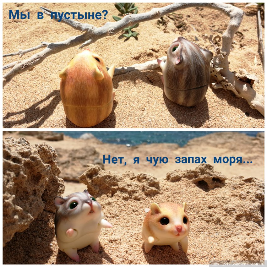 Хомки - путешественники — Фотоистории с куклами BJD (БЖД): сериалы (фото 5)