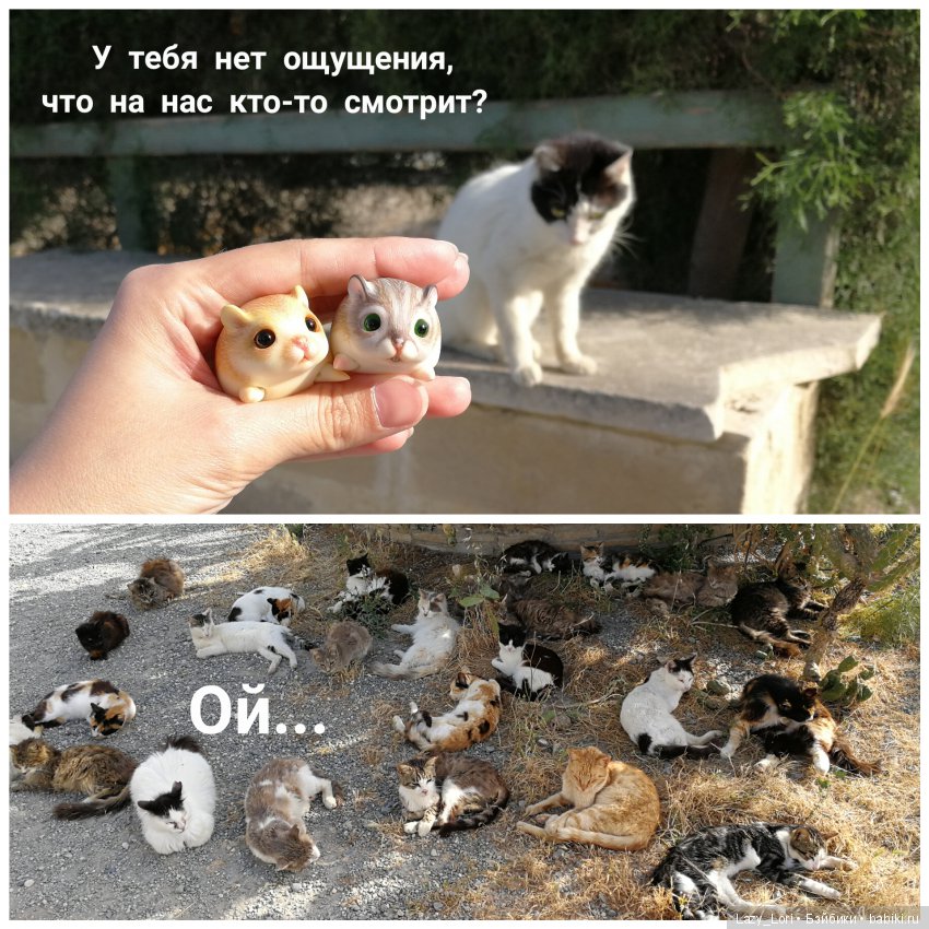 Хомки - путешественники — Фотоистории с куклами BJD (БЖД): сериалы