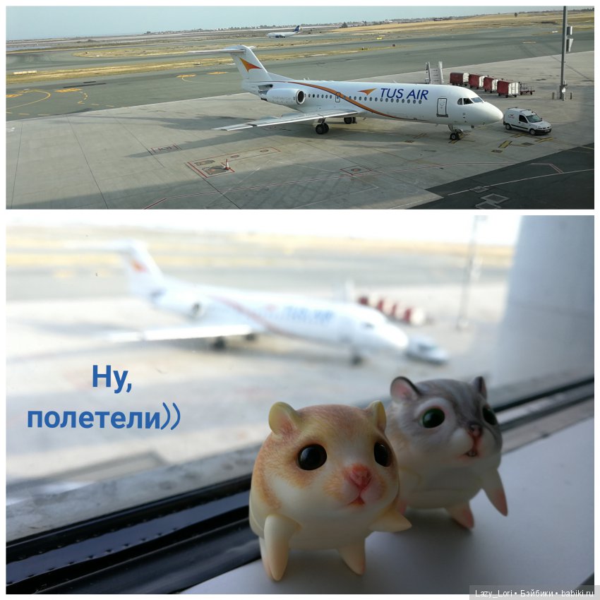 Хомки - путешественники — Фотоистории с куклами BJD (БЖД): сериалы